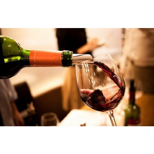 FORMAÇÃO DE SOMMELIERS E PROFISSIONAIS - MARÇO 2025