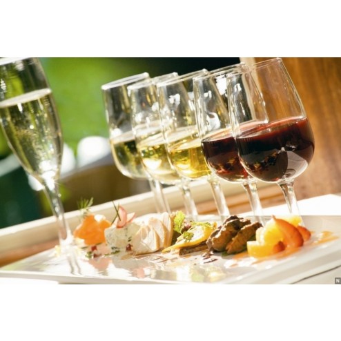 Curso Avançado de Enogastronomia  ABS - Campinas  2026