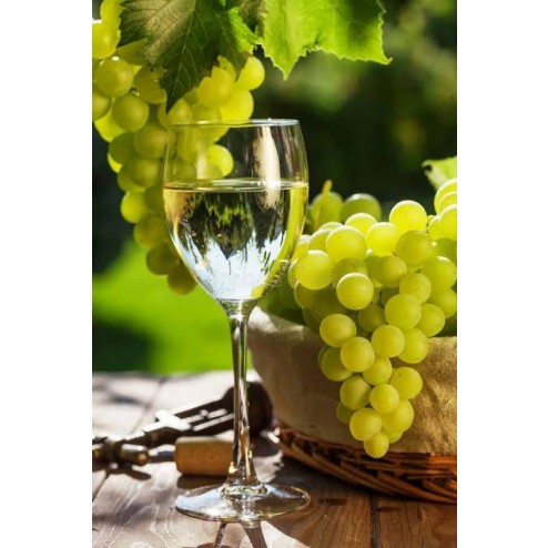 05/02 Uma Viagem pelos Vinhos Brancos da Península Ibérica