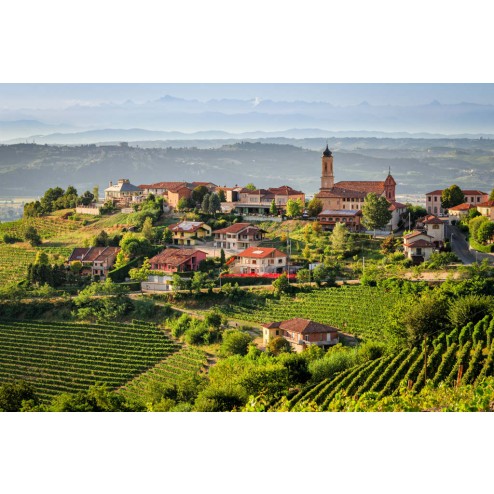 MasterClass Barolo -  29 de julho