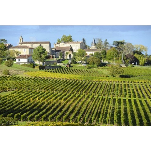 26/03 VINHOS BRANCOS DO RHÔNE 