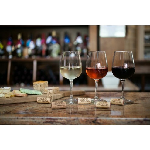 CURSO BÁSICO DE VINHOS -JUNHO 2026