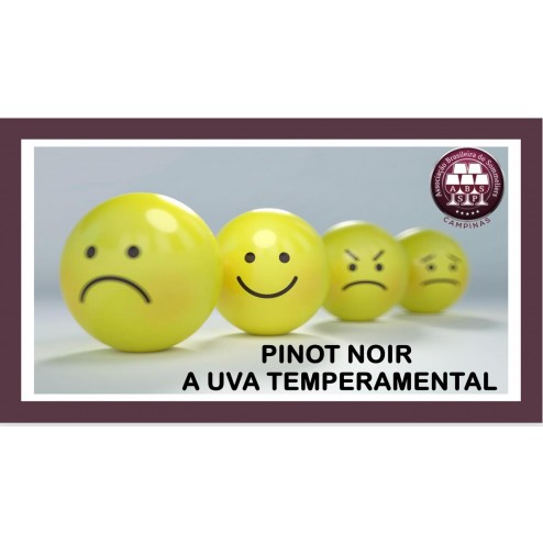 Pinot Noir a uva temperamental
