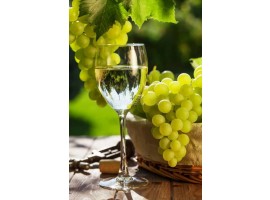 05/02 Uma Viagem pelos Vinhos Brancos da Península Ibérica