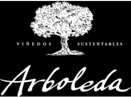Arboleda: Elegância Chilena com a Visão de Eduardo Chadwick