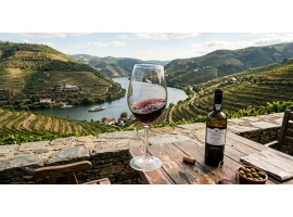 Curso Avançado sobre Portugal Agosto 2026